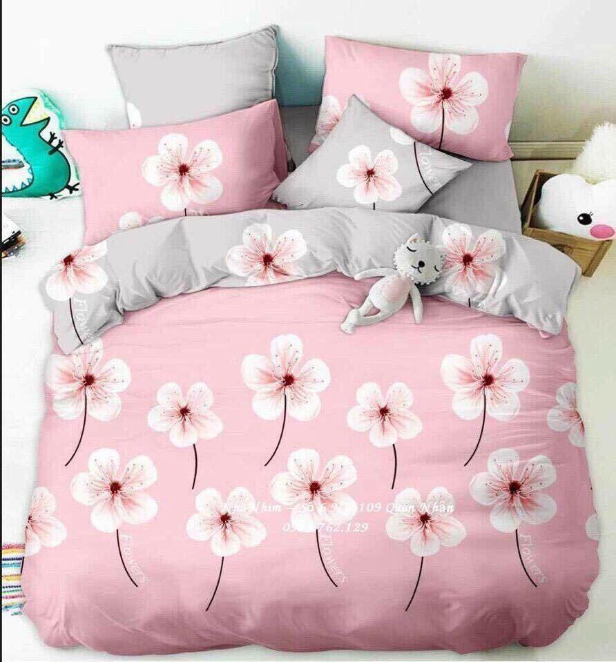 Bộ chăn ga gối hàn quốc 160x200