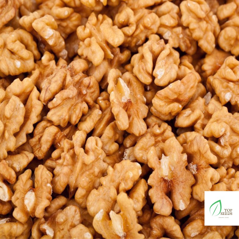 Hạt Óc Chó Mỹ Cao Cấp 500g