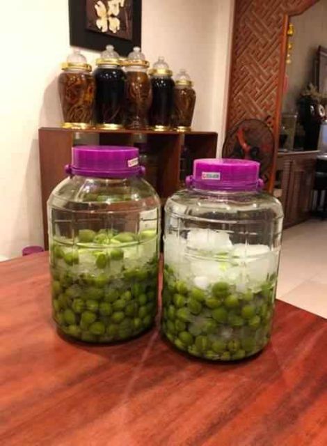 Cây giống quả Mơ Xanh ( cây mơ chua)
