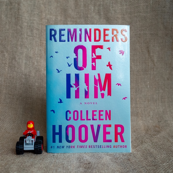 Reminders of Him - Colleen Hoover - Moonbird