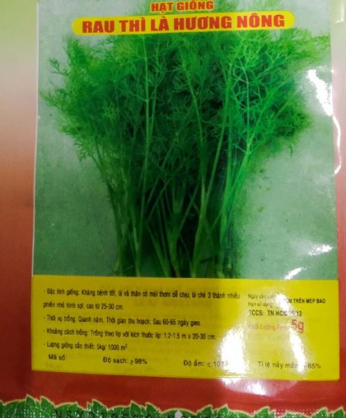 Hạt Rau Thì Là - Gói 5 Gram