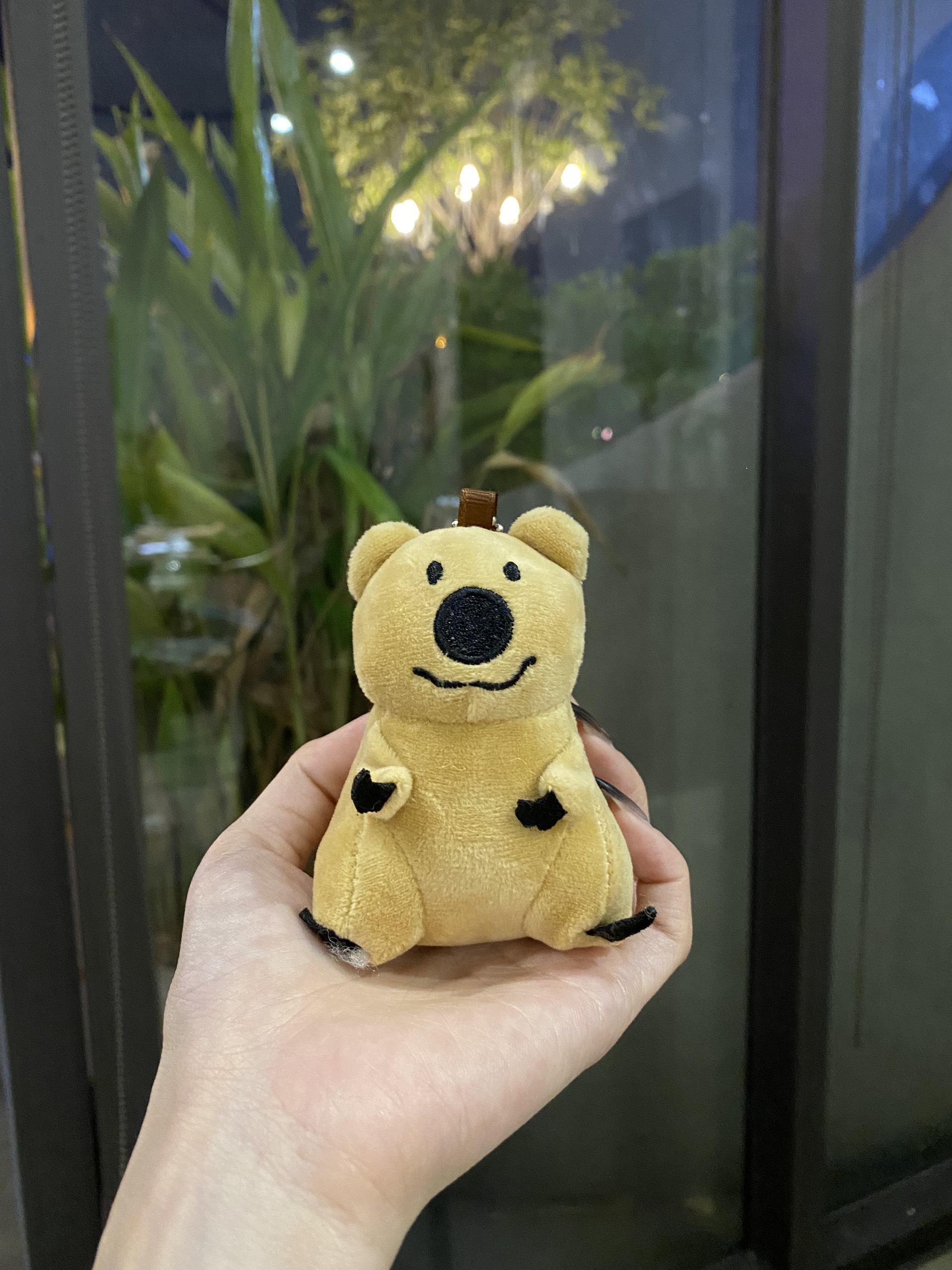 Móc khóa gấu Koala và anh em - VVVV1711