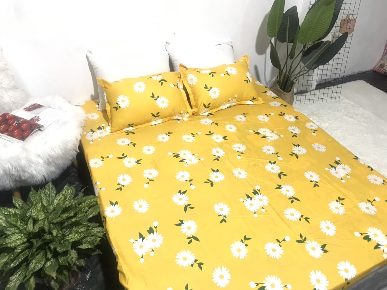 Bộ Ga Gối 3 Món ( Gồm 1 Ga Bo Chun + 2 Vỏ Gối) Mã CH213
