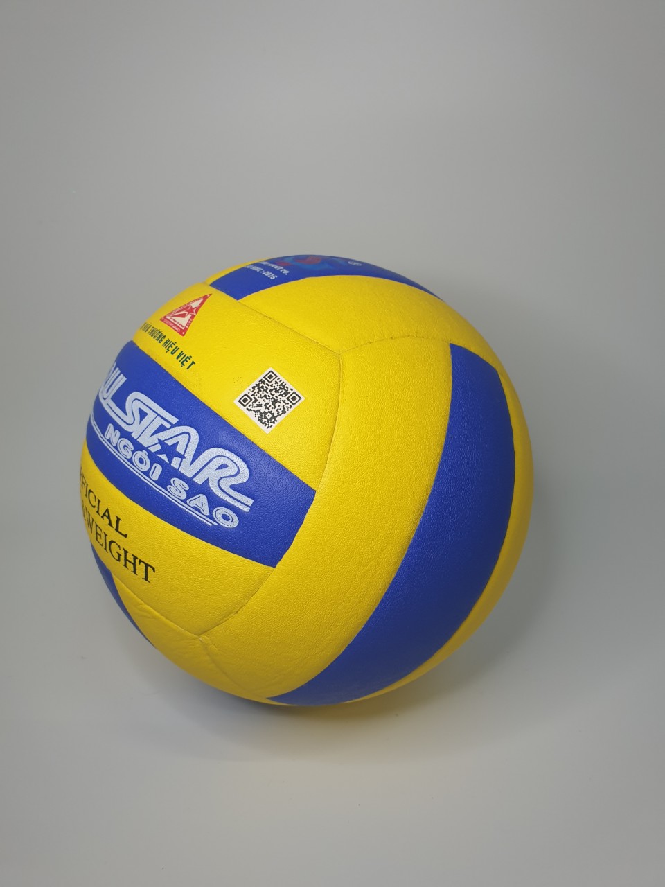 Bóng chuyền VTVcup Số 5 GeruSport
