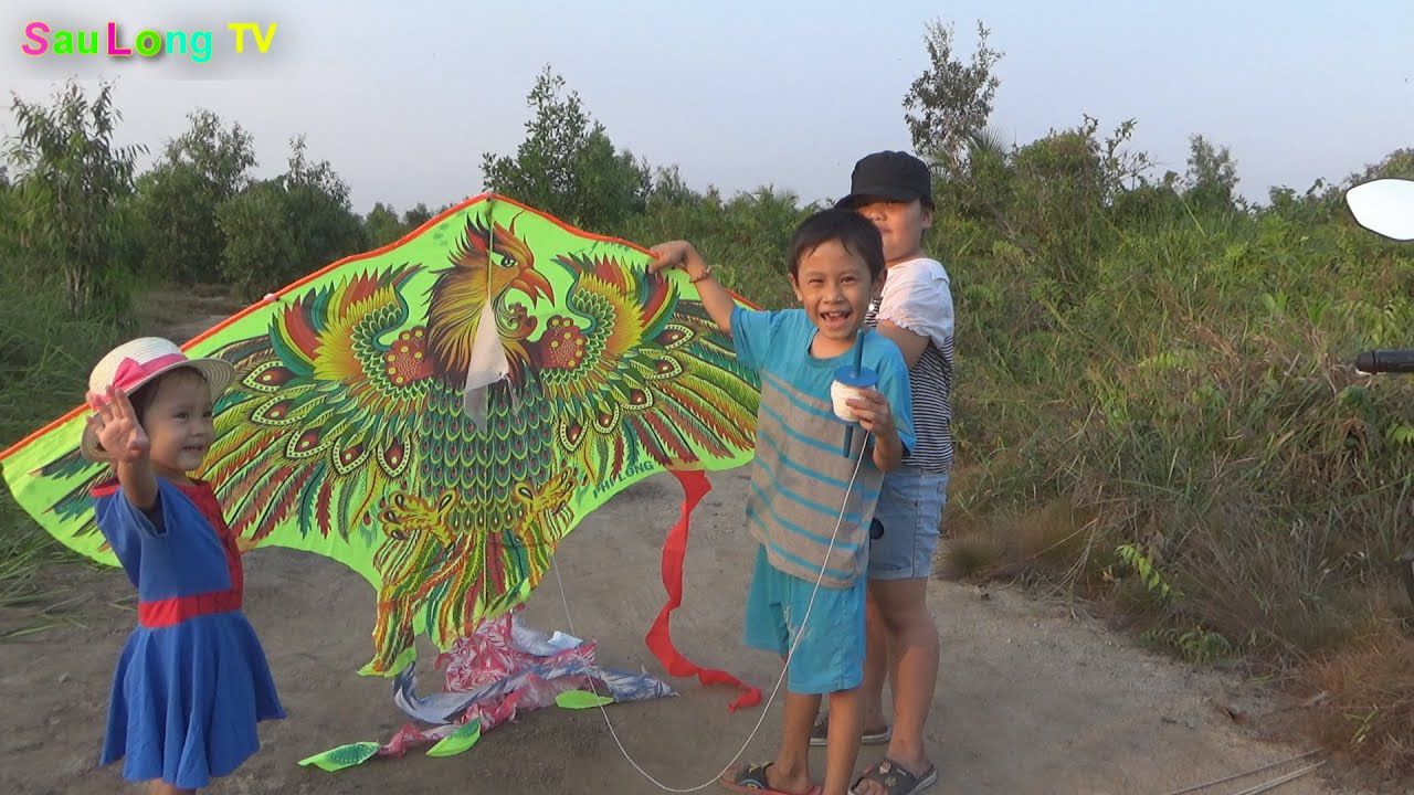 DIỀU PHƯỢNG HÀNG KHỦNG ĐẠI NGANG 1M3