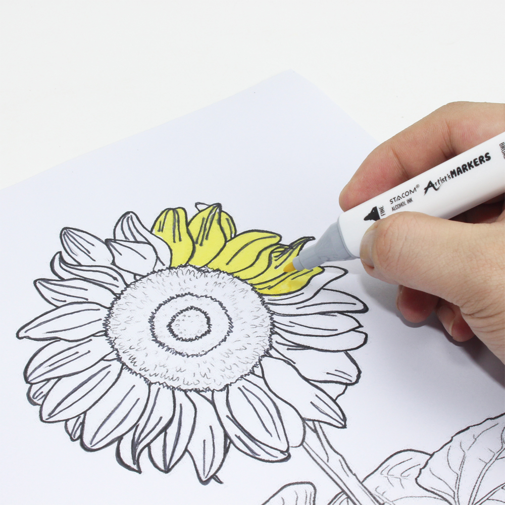 Bộ bút lông màu 02 đầu (Sketch Marker) STACOM MP012C/MP024C/MP036C/MP048C