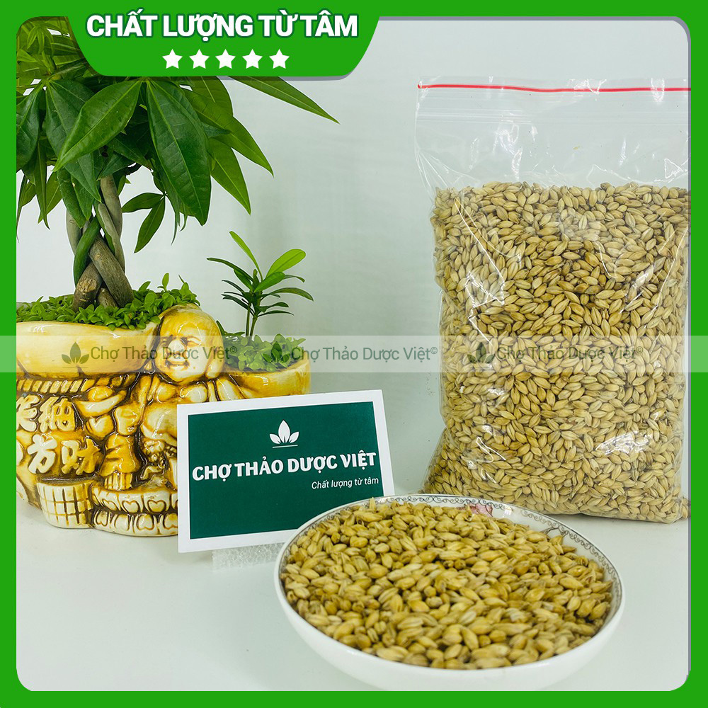 100gr Mạch Nha (Khô, thơm, sạch)