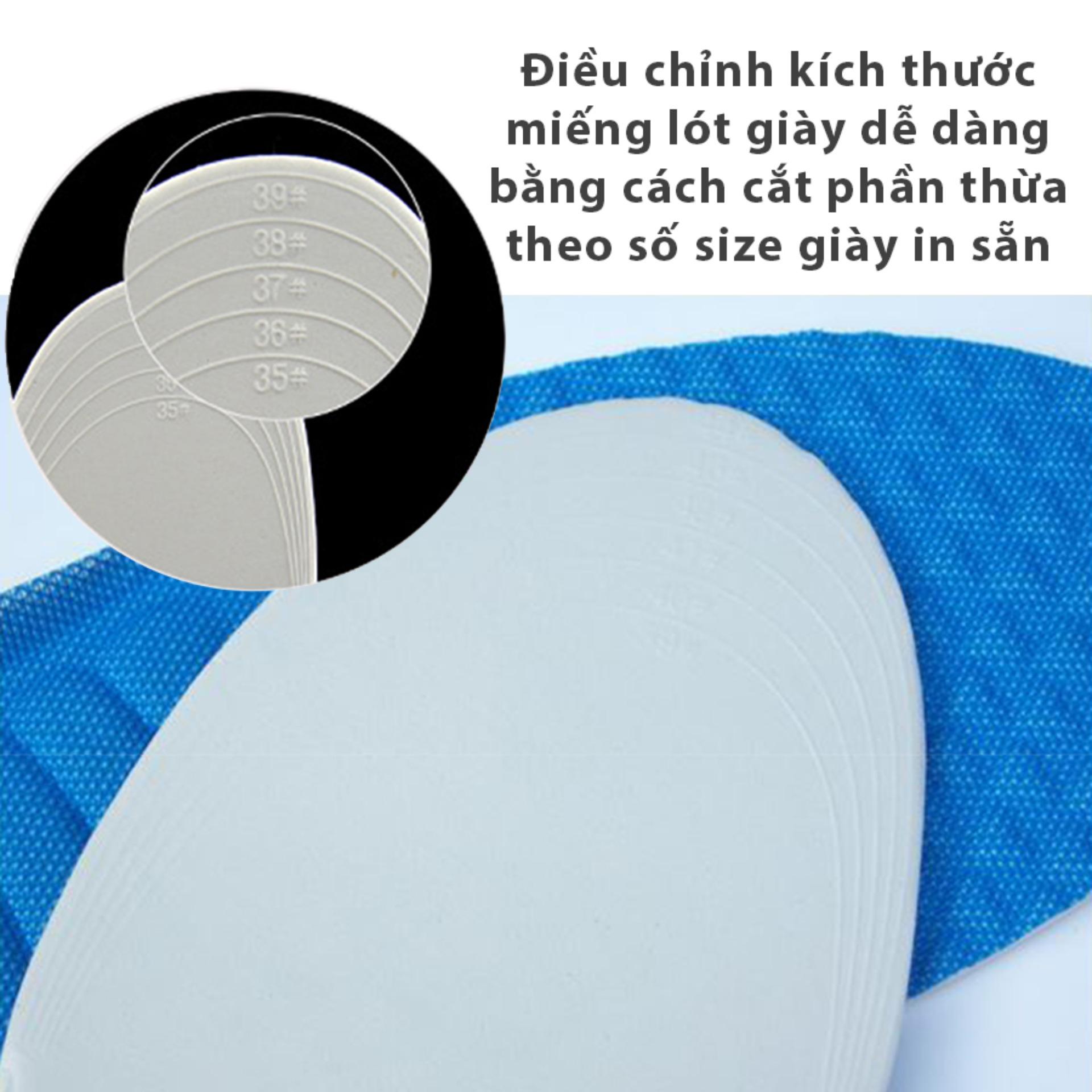 [HCM]Combo 3 cặp lót giày nữ cực êm chân (size nữ 35 đến 39 hoặc size nam 39 đến 43) - PK06