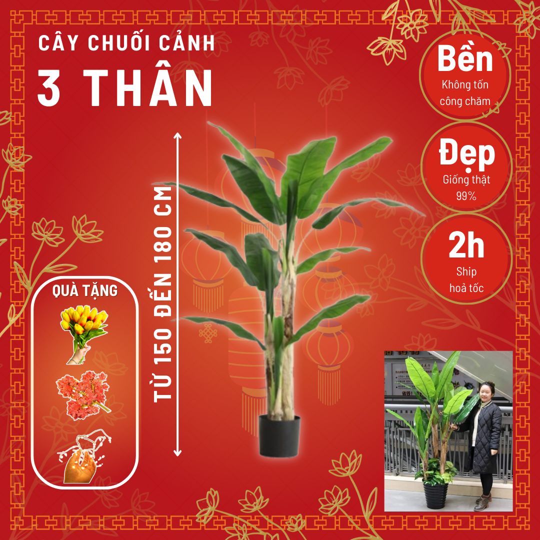 Cây chuối cảnh giả - Cây chuối quê - Size từ 150cm- 200cm - Cây giả, hoa lụa Decor trang trí nhà cửa