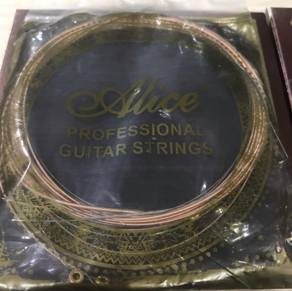 [HCM]Dây đàn guitar acoustic Alice AWR47