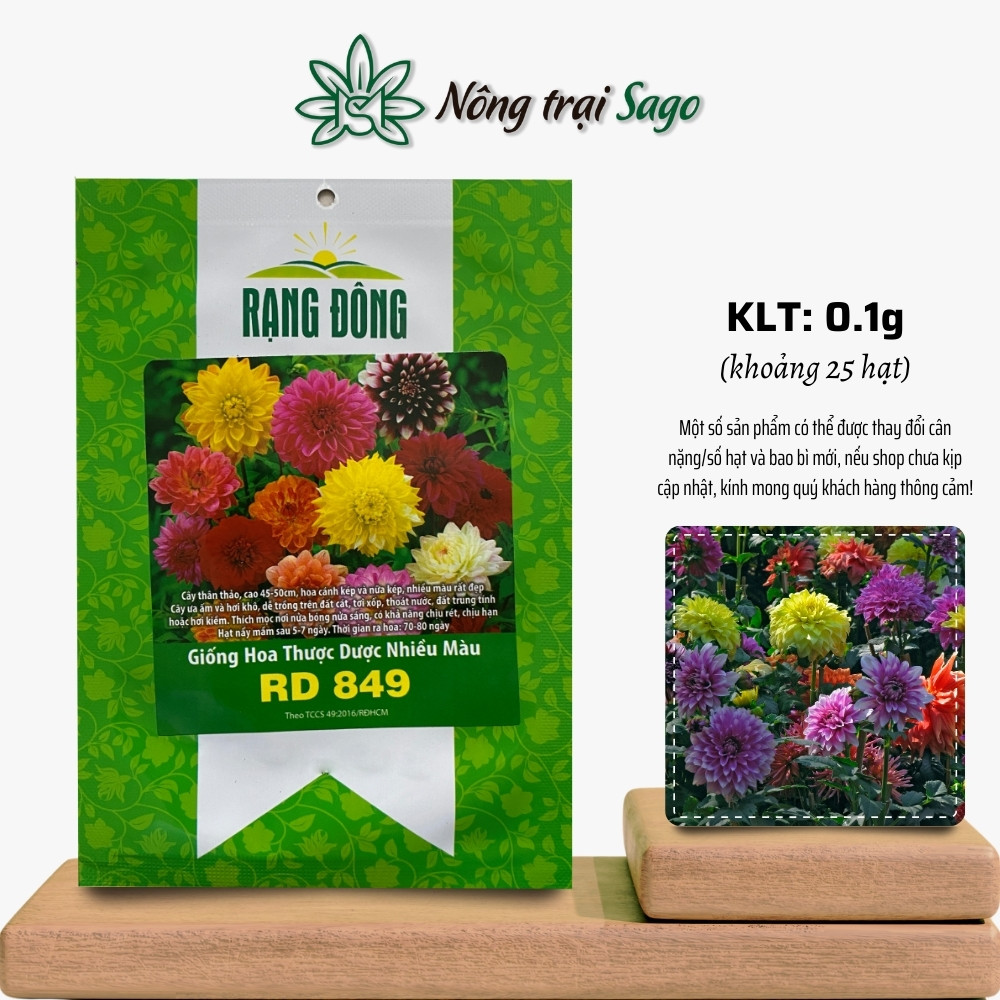 Hạt giống Hoa Cúc Thược Dược Nhiều Màu Rd 849 (0,1g~25 hạt) trồng quanh năm, thân cao, hiệu Hạt giống Rạng Đông - Nông Trại Sago