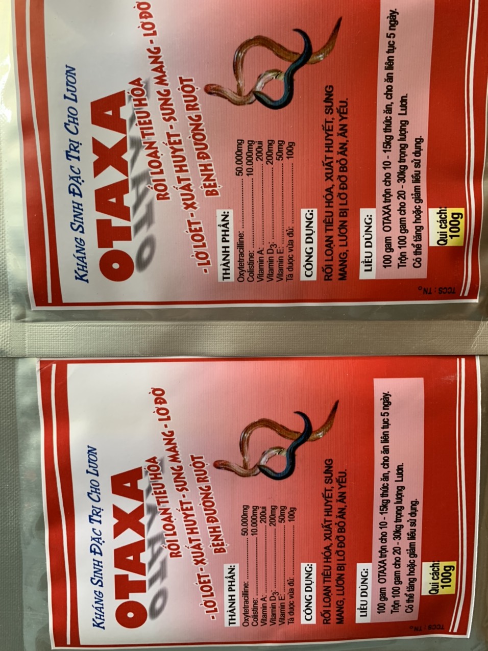 Otaxa kháng sinh đặc tri cho con lươn