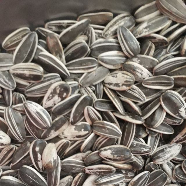 500g hạt hướng dương loại 1