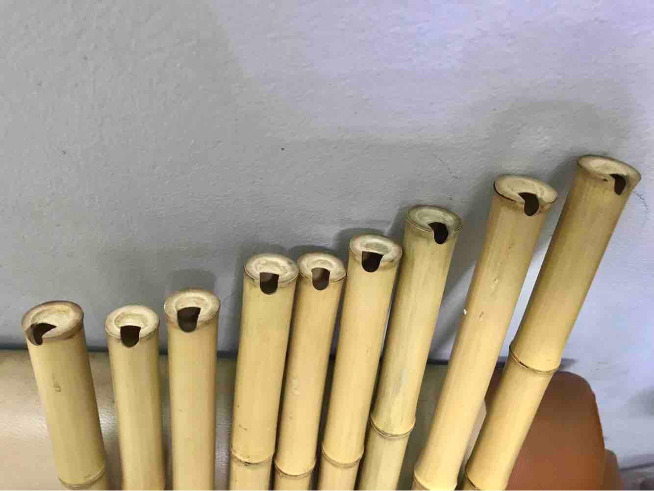Tiêu trúc bạch tone đô