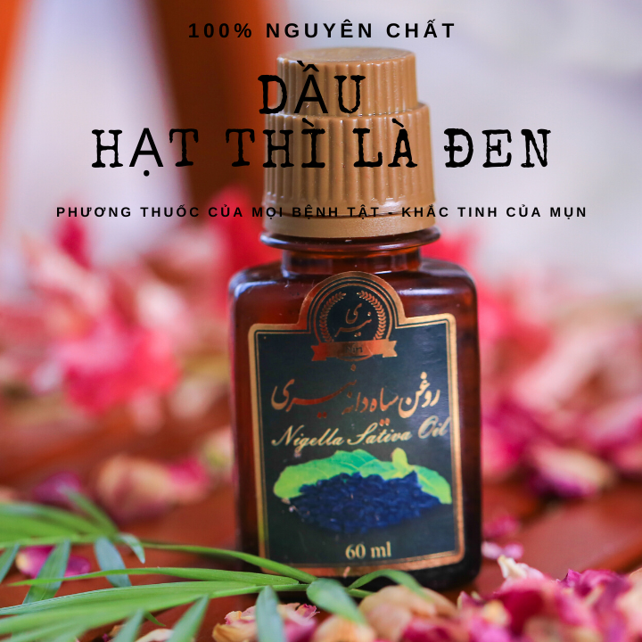 Dầu hạt thì là đen- Black cumin seed oil