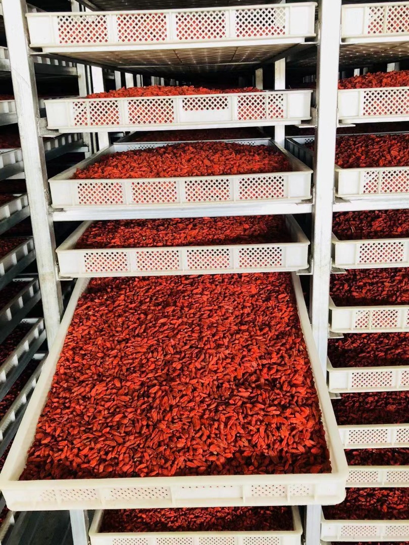 Kỷ Tử Hữu Cơ Ninh Hạ Green Nature/ C'lavie Organic Goji Berries 200g