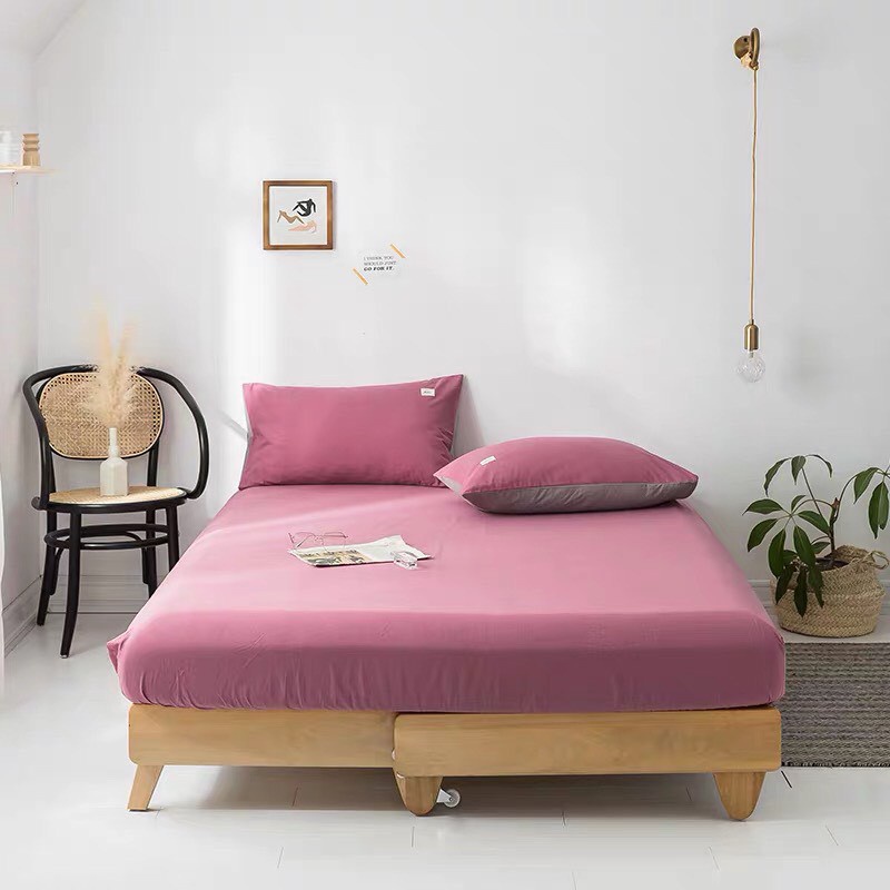 Sét ga gối cotton Tici phong cách hàn Quốc ( ga và 2 vỏ gối Tici )