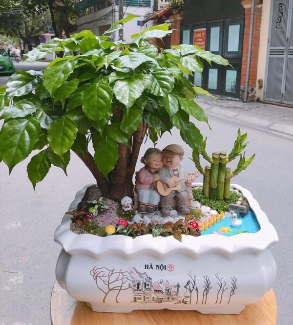 cây HẠNH PHÚC--MANG LẠI HẠNH PHÚC ĐẦM ẤM CHO GIA ĐÌNH