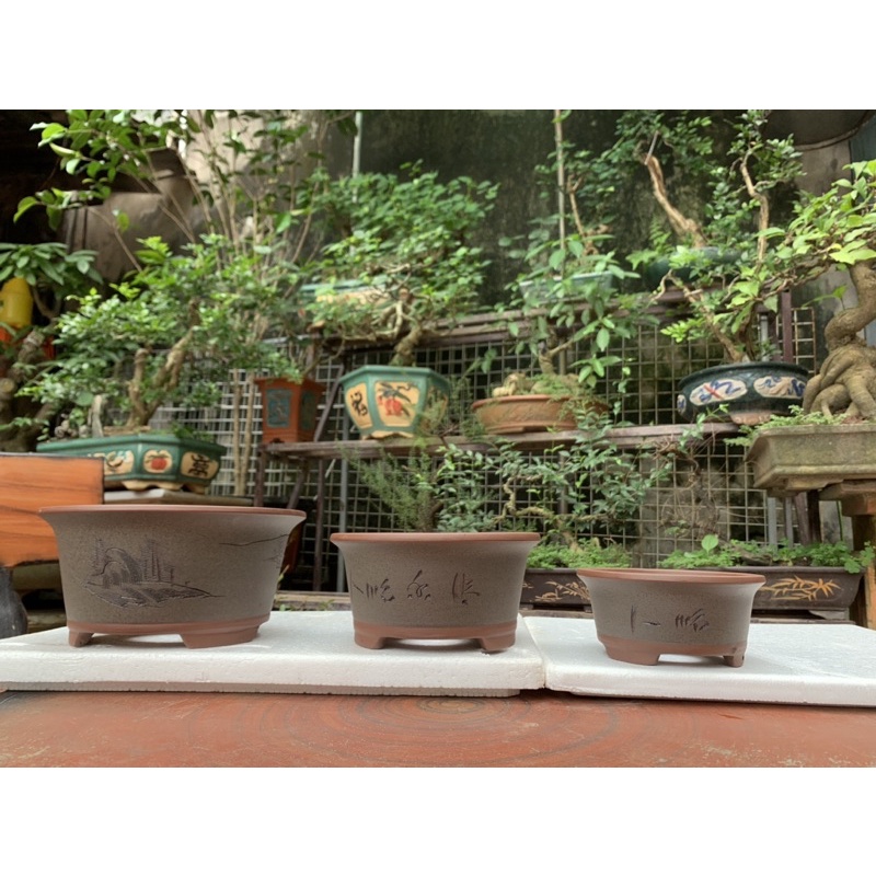 Chậu gốm tàu-chậu cảnh bonsai