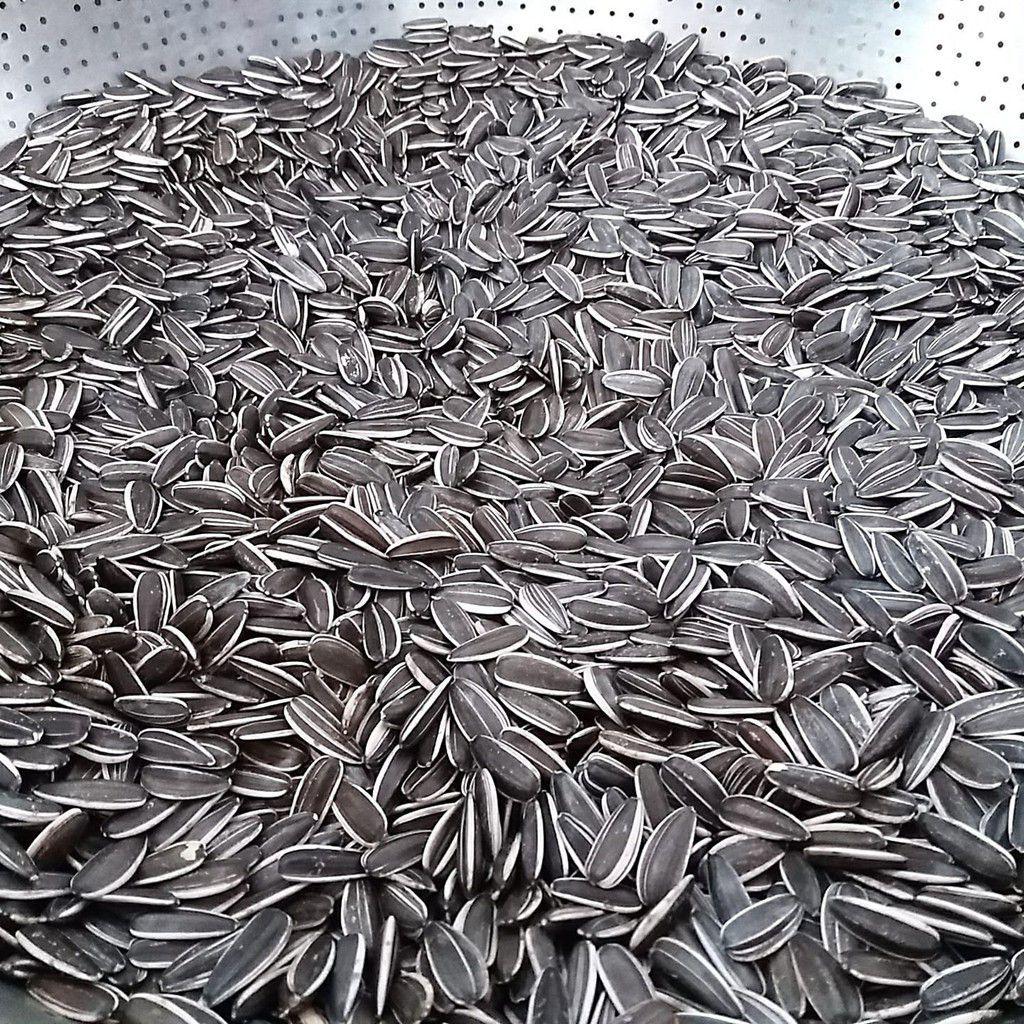 500g hướng dương rang chín, hạt to mẩy