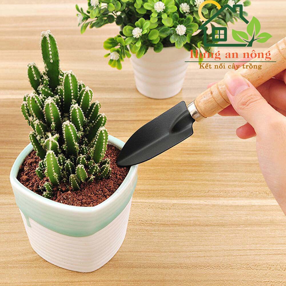 Bộ 3 cuốc cào gỗ mini dụng cụ làm vườn size M,