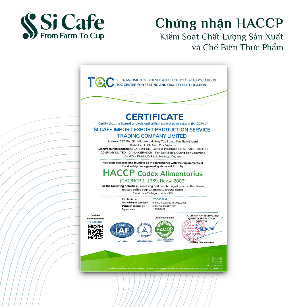 CÀ PHÊ PHIN GIẤY VIBE TỪ SI CAFE - 100% ROBUSTA