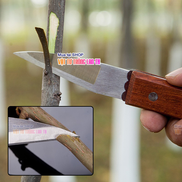 Dao ghép cán gấp mũi nhọn lưỡi thép