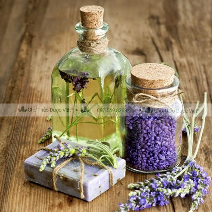 Hoa Lavender Khô 100g (Hoa Oải Hương, Huân Thảo)