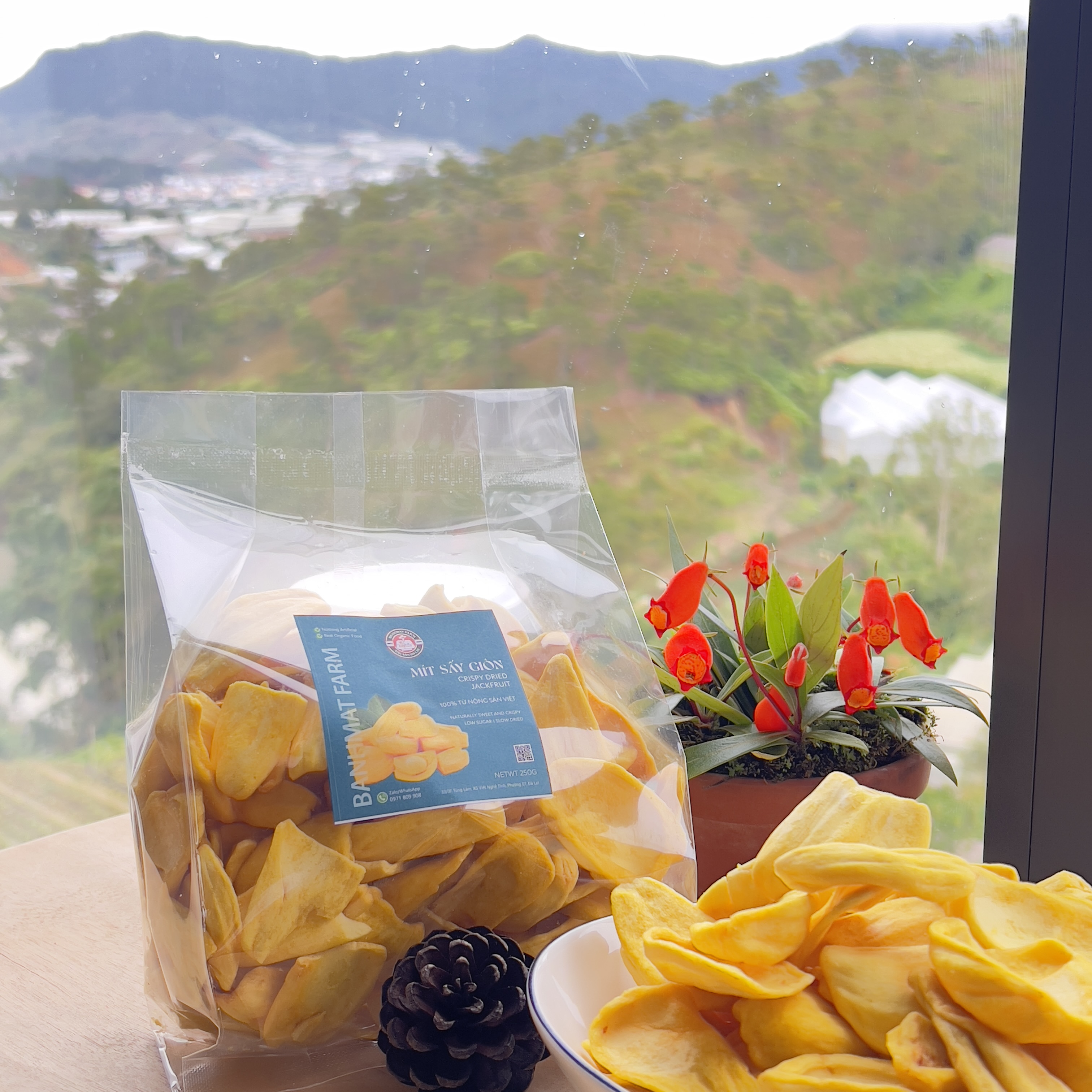 Mít tươi sấy giòn không đường 500gr của BánhMật Farm, món quà đặc sản Đà Lạt