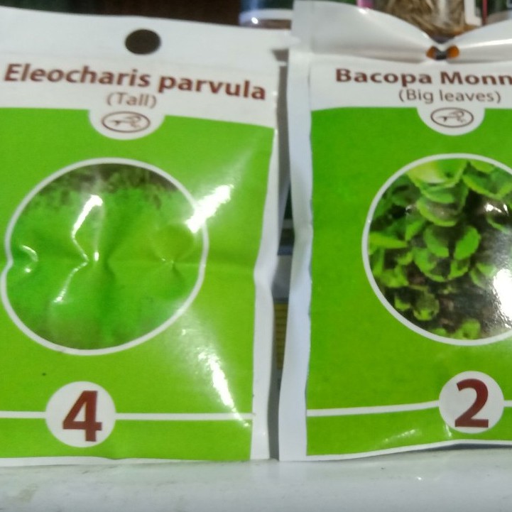 Hạt giống cây thủy sinh bể cá cảnh (combo 3 gói 10gr)