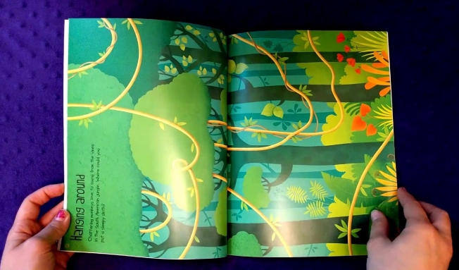 Usborne Sticker Book - Jungle
