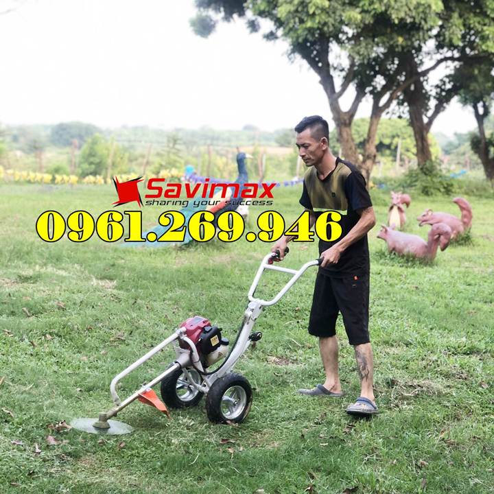 Máy cắt cỏ đẩy tay động cơ GX35