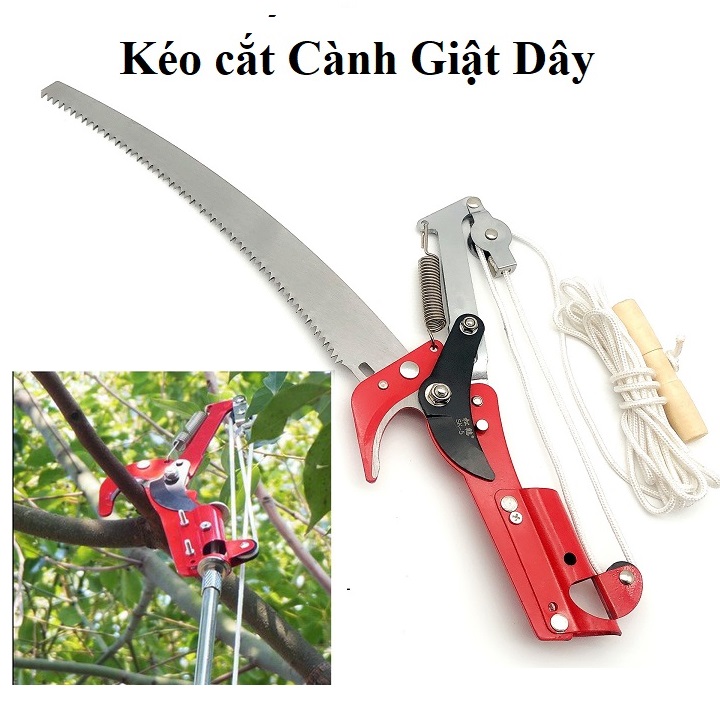 Kéo cắt cành trên cao giật dây