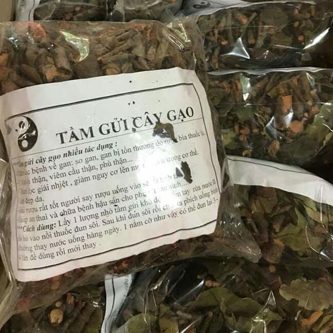 CÂY TẦM GỬI GẠO