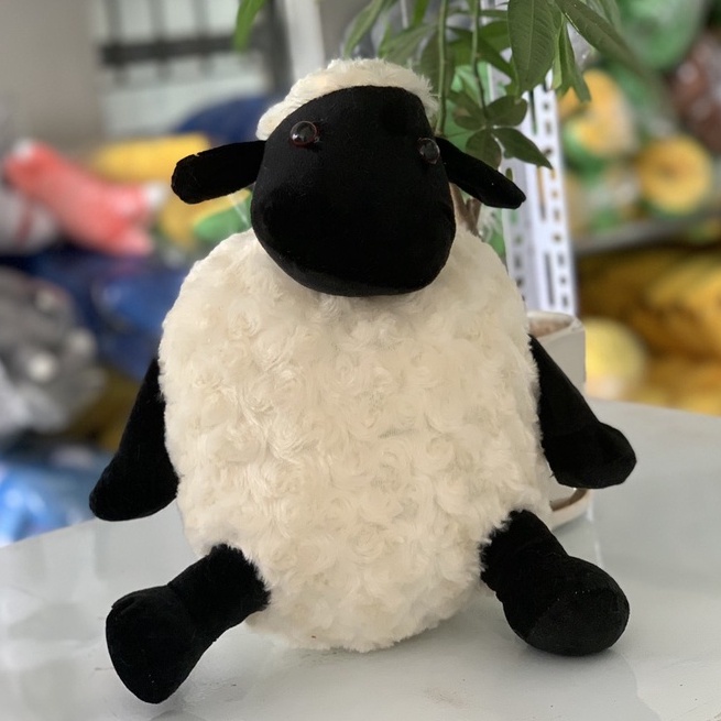 Gấu bông cừu béo dễ thương size 35 cm, 50cm, gối ôm cho bé, gấu cừu trắng. hadongshop.vn