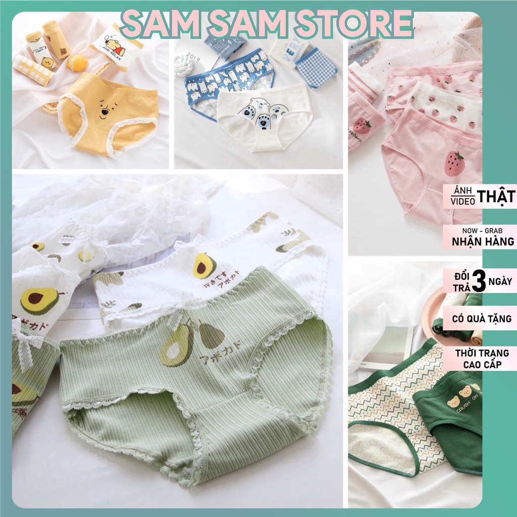 Combo 5 Quần Lót Nữ Cotton kute Chống Viêm Kháng Khuẩn, Sét 5 quần