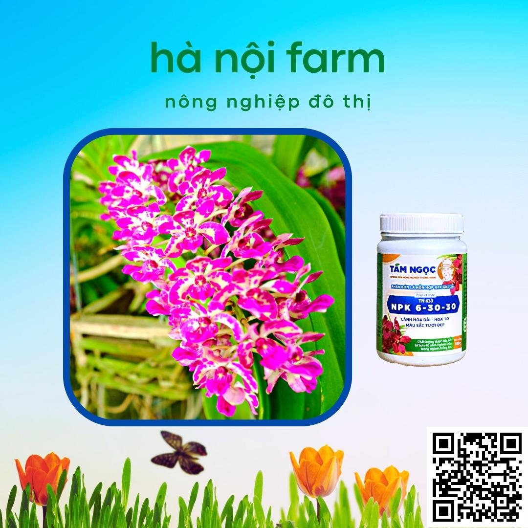 phân bón lan NPK 6-30-30 Tám ngọc 100g
