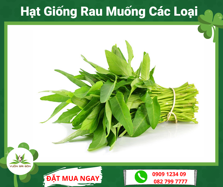 Hạt giống rau muống trang nông gói 100gram
