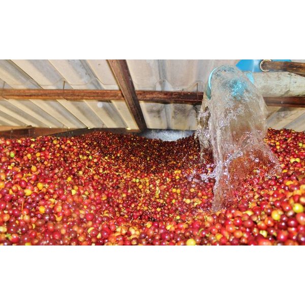 Cà phê rang xay nguyên chất, rang mộc - pha phin truyền thống