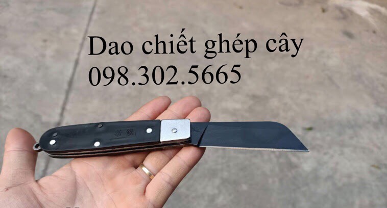 Dao chiết ghép cành lưỡi đen cán gập- Dao Ghép Cây Chuyên Dụng - Chuyên dung cho nhà vườn