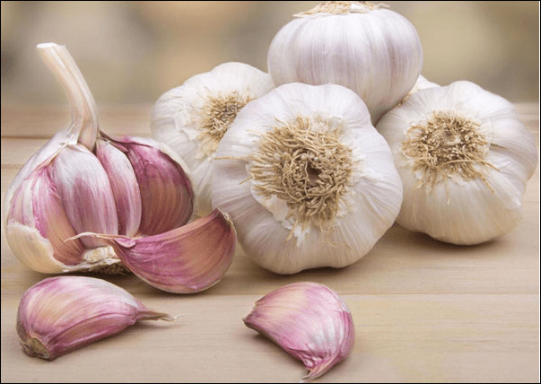 Tỏi bắc gói 1kg