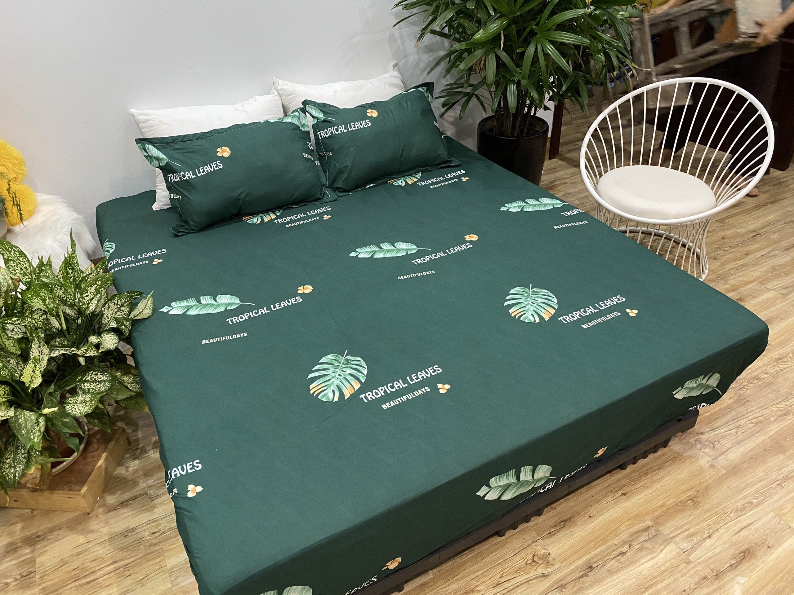 Bộ Ga Gối 3 Món ( Gồm 1 Ga Bo Chun + 2 Vỏ Gối) Mã CH219