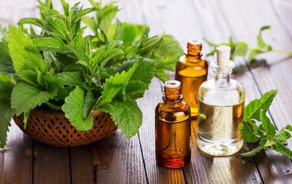 Tinh dầu Bạc hà tự nhiên lọ 100ml