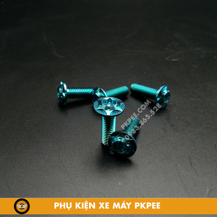 Ốc Titan GR5 6ly Đầu Sao