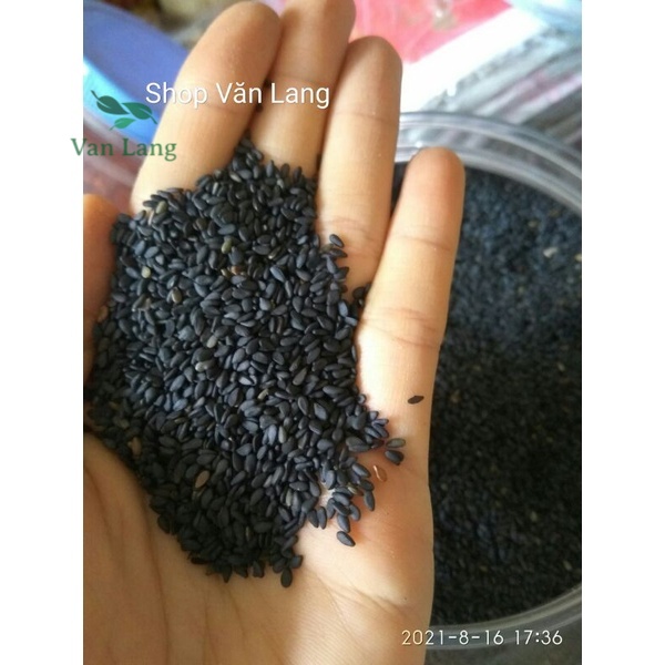 100g Vừng đen / mè đen sạch hạt chắc bóng loại 1