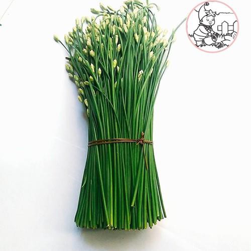 Hạt hẹ ăn bông - gói 1 gram