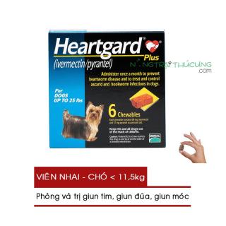 HCMViên nhai Heartgard Plus 01 Viên Phòng Và Trị Giun Tim Giun Đũa Giun thumbnail