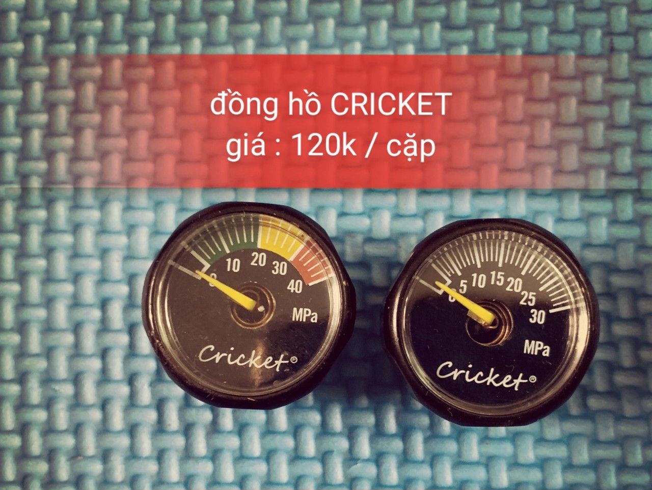 đồng hồ cricket