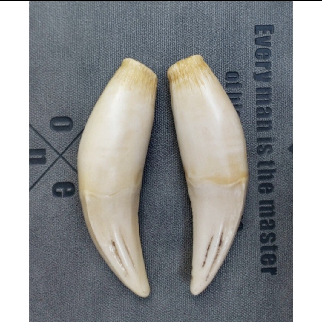 [HCM]NANH MỸ NGHỆ ĐẸP DÀI 10CM CAO CẤP