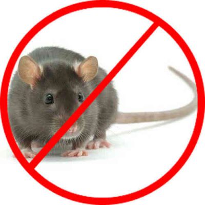 Thuốc Diệt Chuột Killrat Bả Diệt Trừ Chuột Dạng Cốm Hiệu Quả (303.F1)